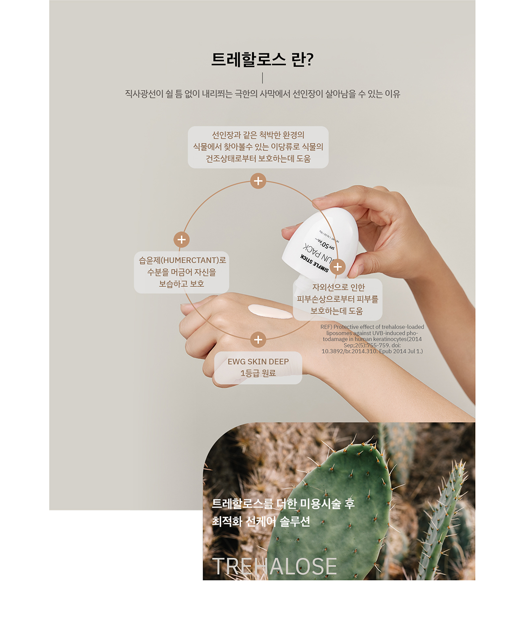 선팩 상세 4